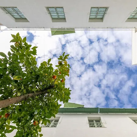 Apartament Salados *
